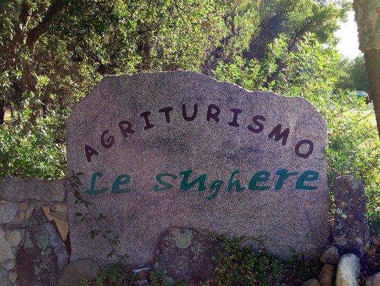 Le Sughere Padru Экстерьер фото