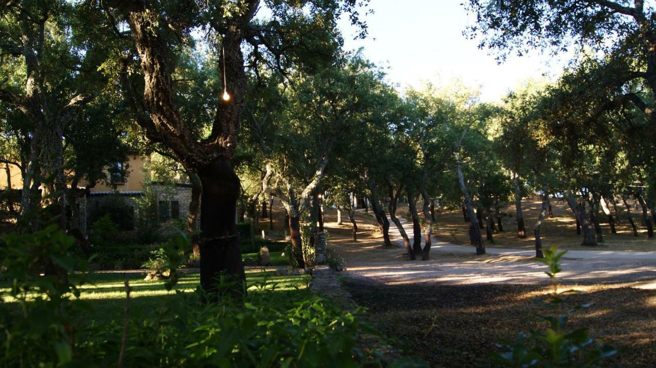 Le Sughere Padru Экстерьер фото