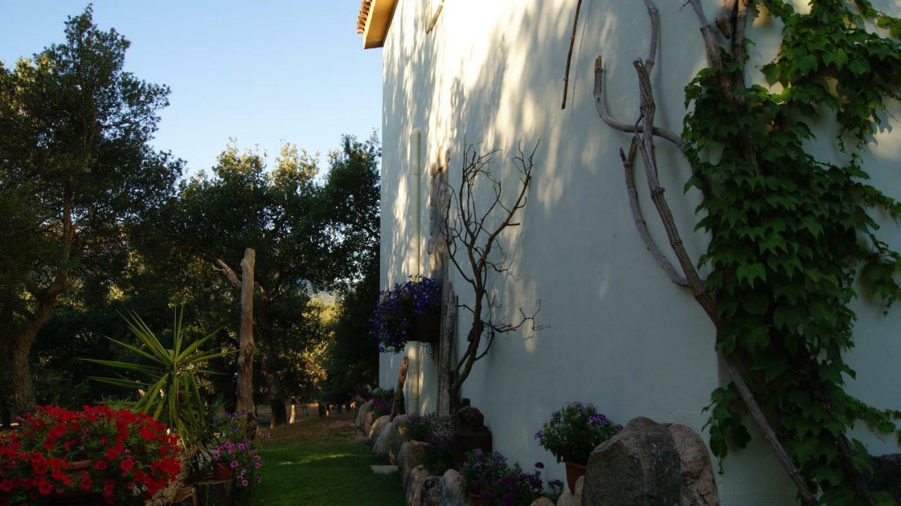 Le Sughere Padru Экстерьер фото