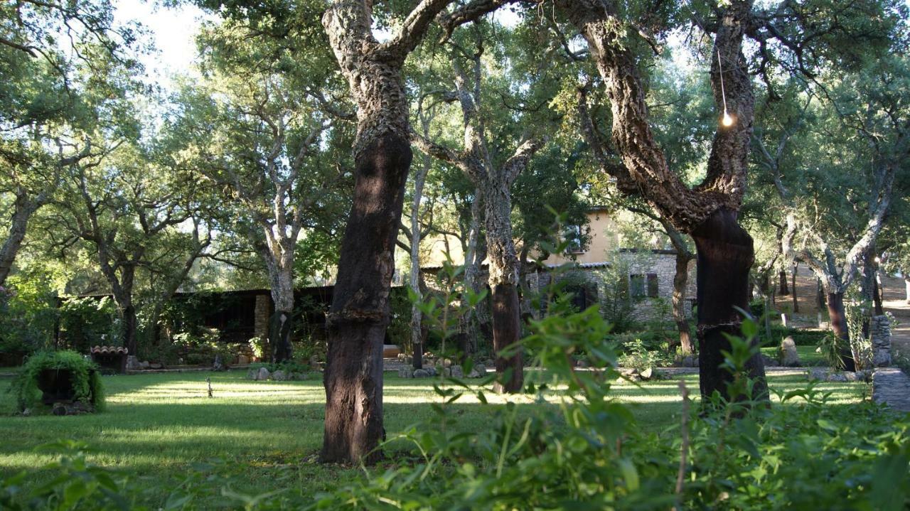 Le Sughere Padru Экстерьер фото